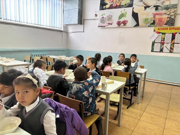 Отырар ауданы Шәуілдір ауылы Ө. Жәнібеков атындағы нөмері №4 лицей—интернаты